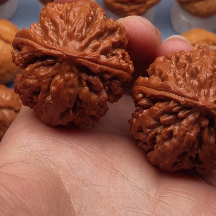 文玩核桃把件小*至尊龙纹