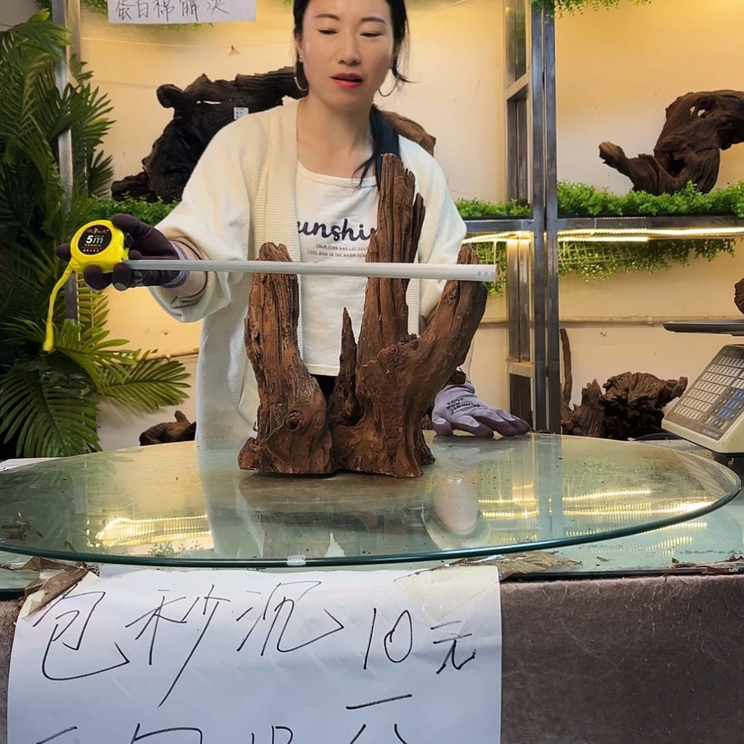 海***楼柚木沉木鱼缸造景