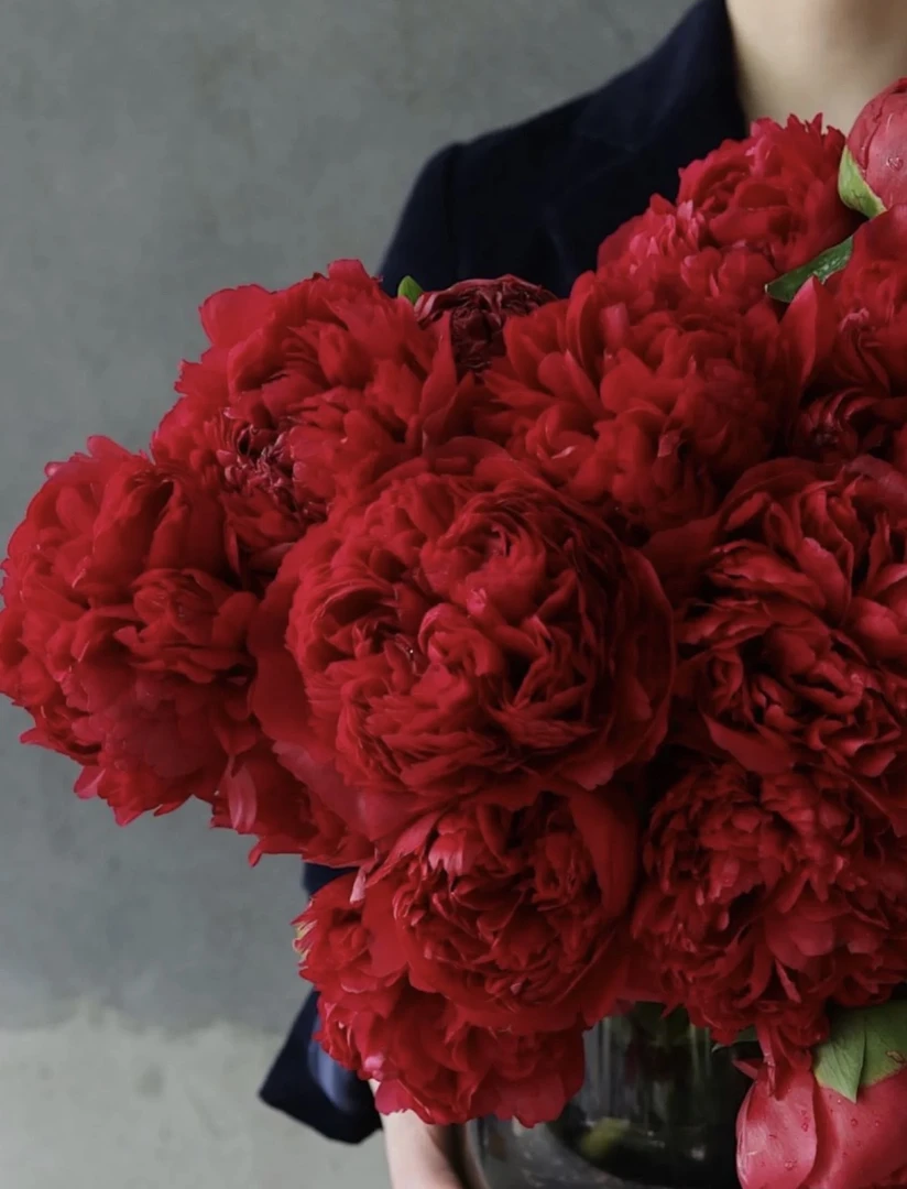 三岁花集--山东基地御前表演芍药（会变色）（山东顺丰直发不合单）