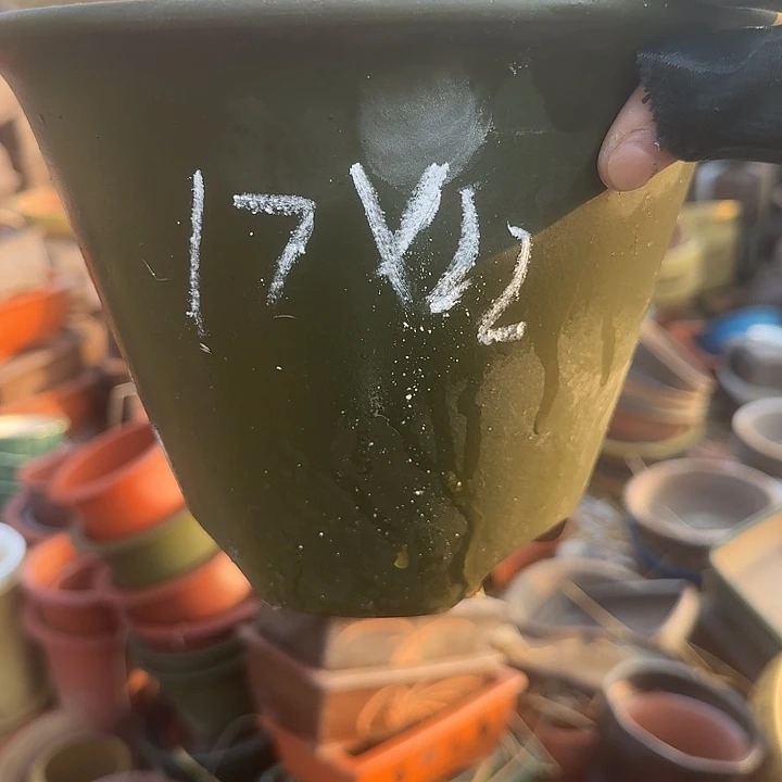 紫砂和花都两条主景天