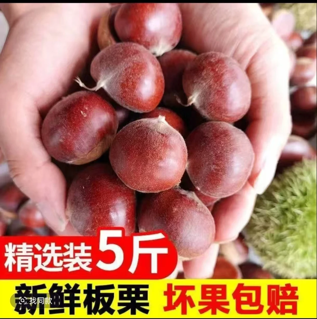 丹东老树新鲜带壳板栗粉糯香甜现摘现发难剥皮5斤混等非油栗