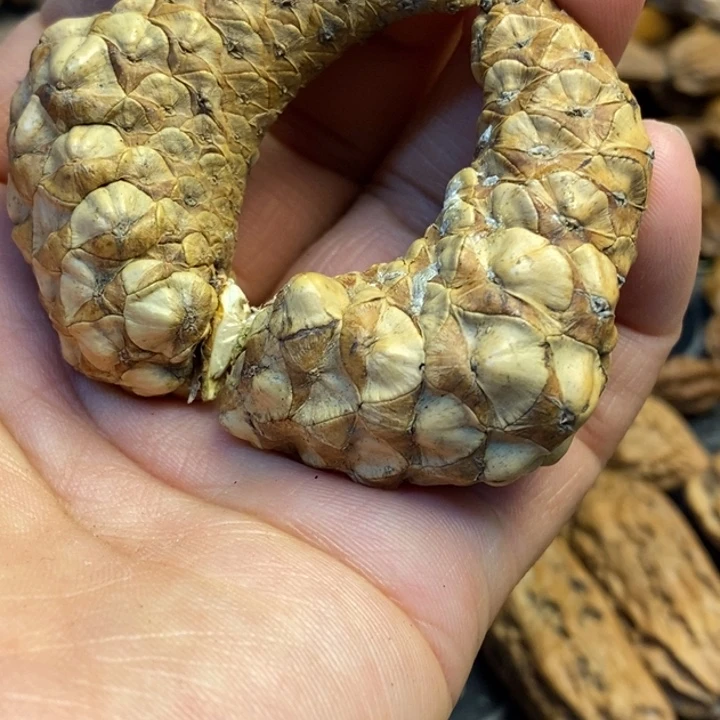 文玩核桃吊坠娜姐209