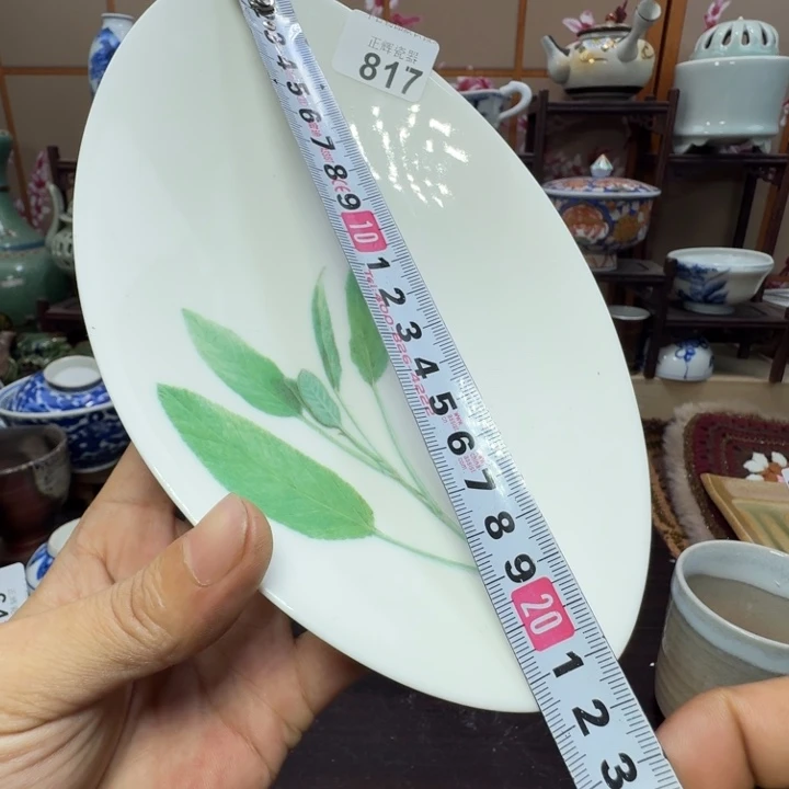 碗817啊啊啊啊啊啊啊啊啊啊啊啊