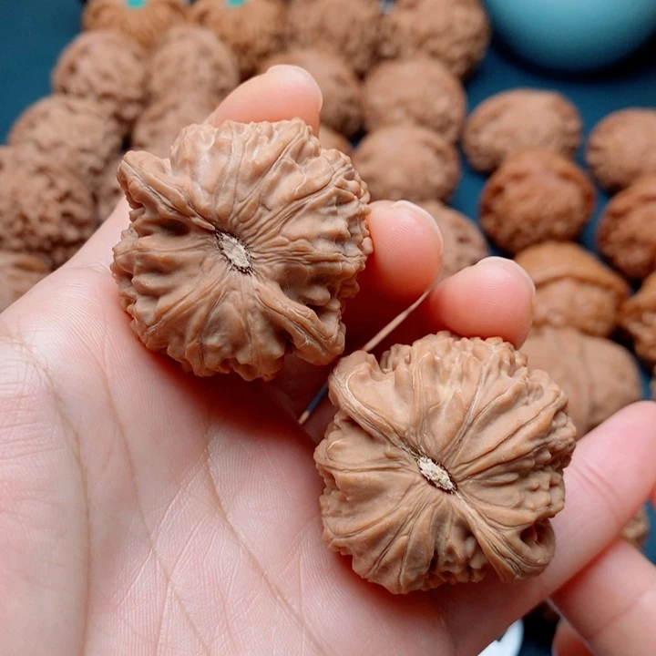 通***:把件文玩核桃白狮子40全品