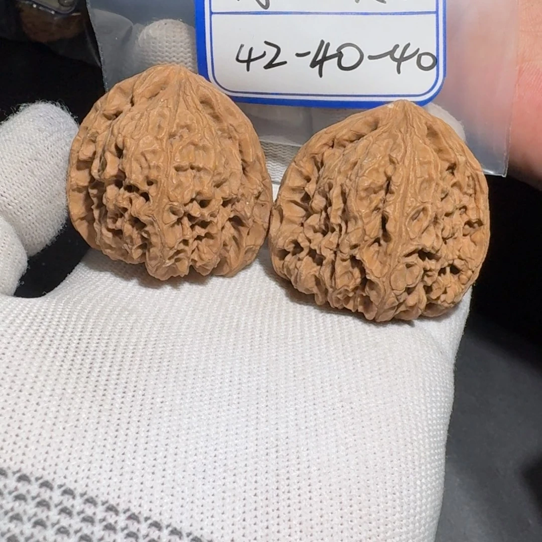 文玩核桃把件40号村将有黄