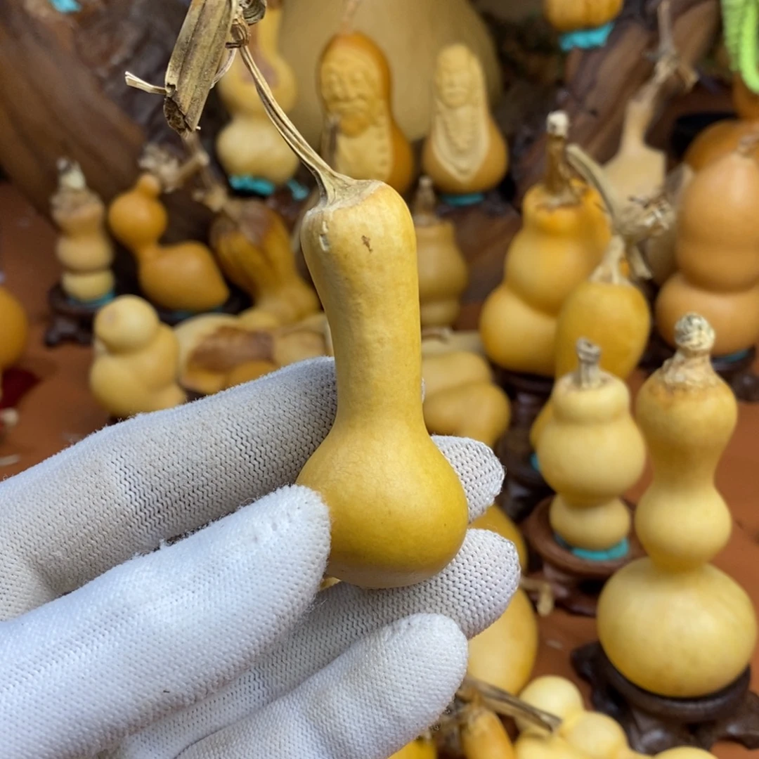 文***斗局长教练哭了咯路途