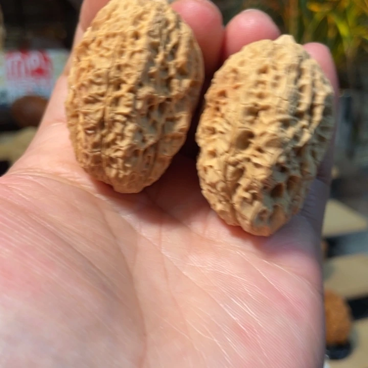 把件文玩核桃编号66