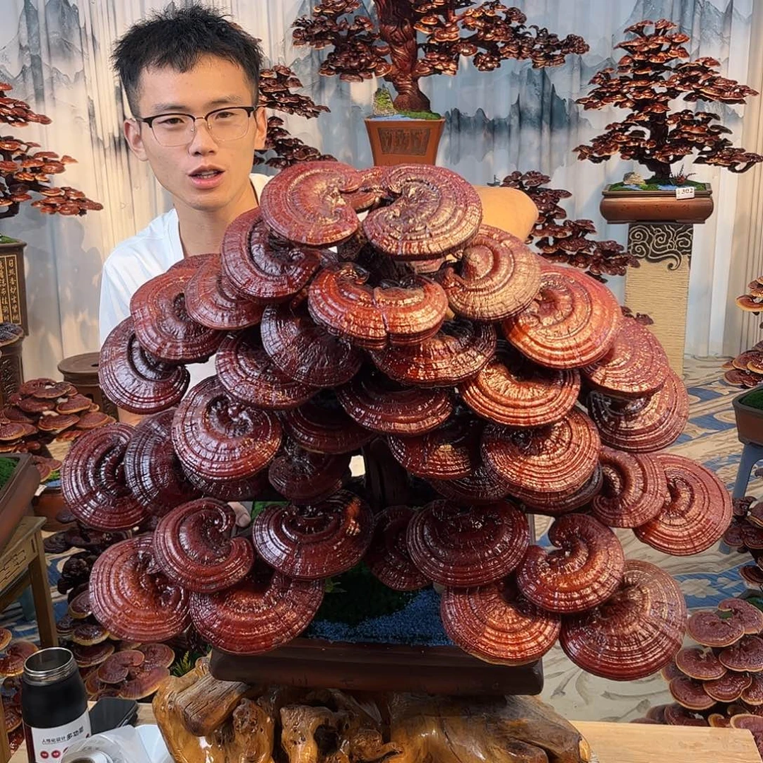 无花朵78888888888888