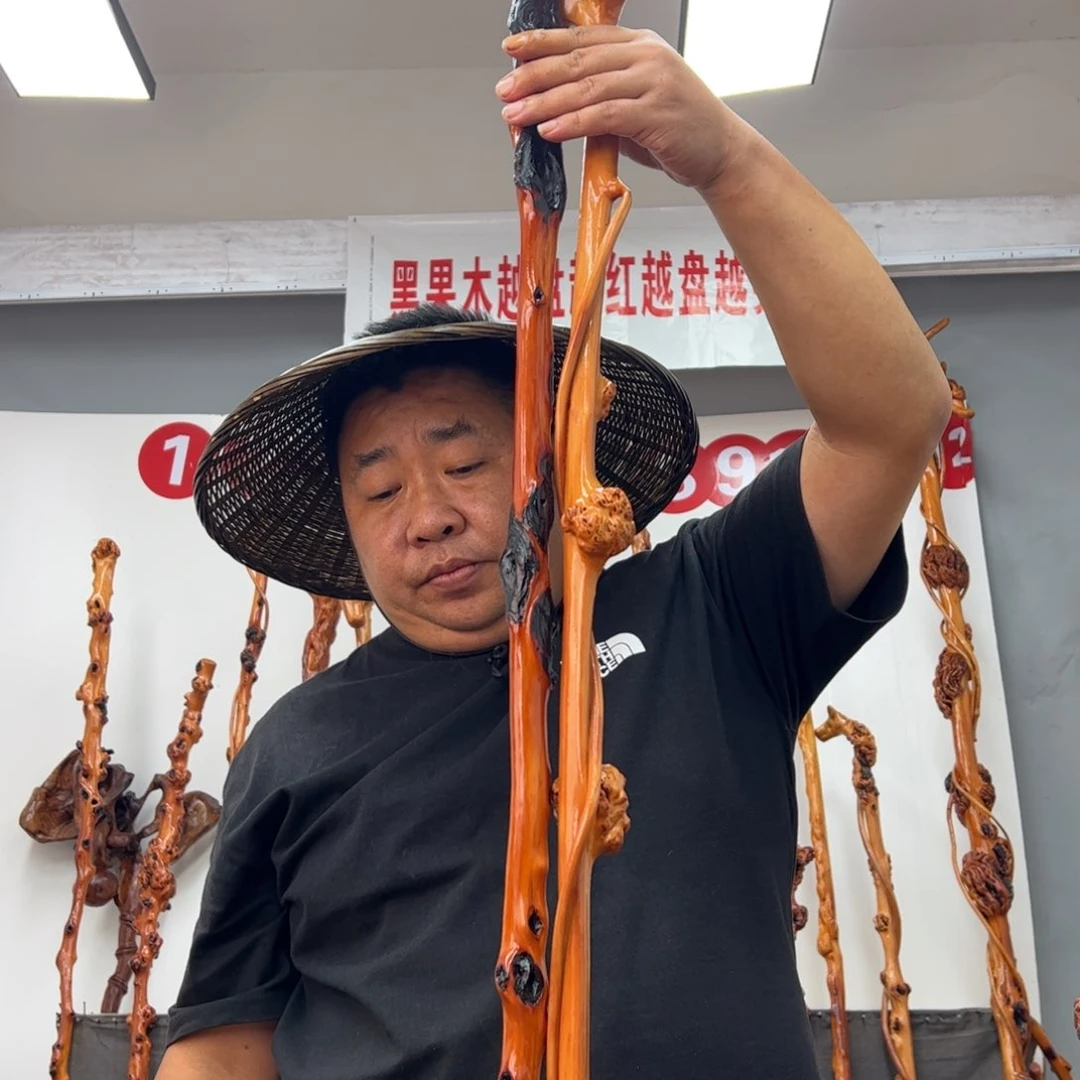 西***王黑果木其他黑果木588