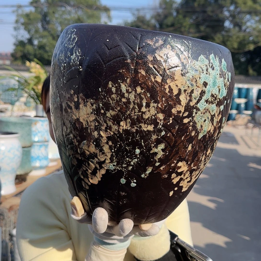 王嫂花盆直播1122-415高27口25