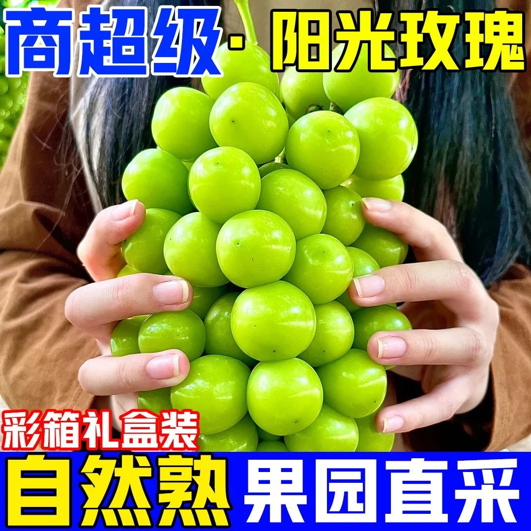【顺丰包邮】--正宗阳光玫瑰葡萄无籽提子新鲜水果助农水果产地直发
