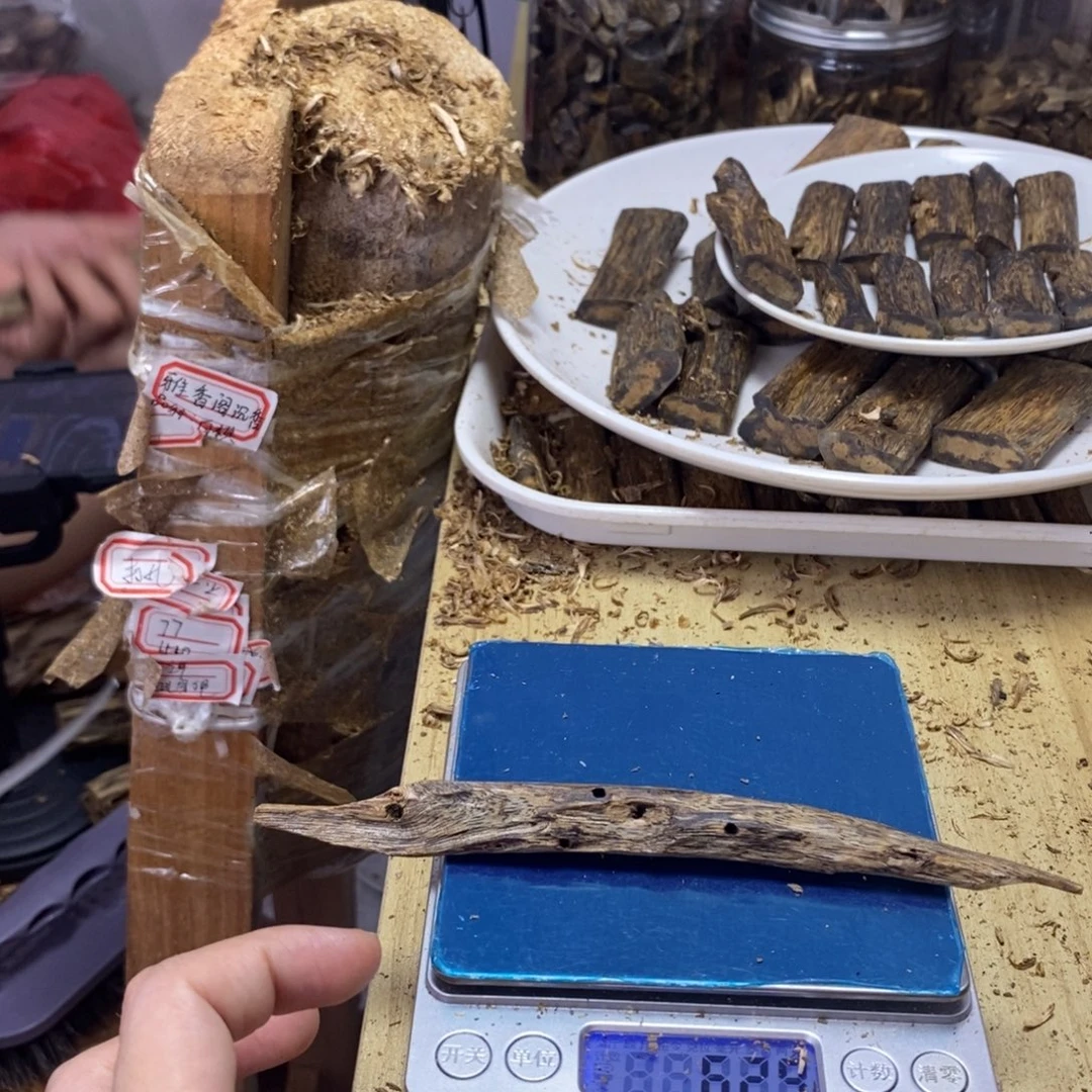 香料绿奇楠虫漏6克乌身