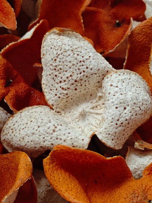 广西浦北陈皮【20+年老树元旦大红】朱砂红（顺丰快递包邮）