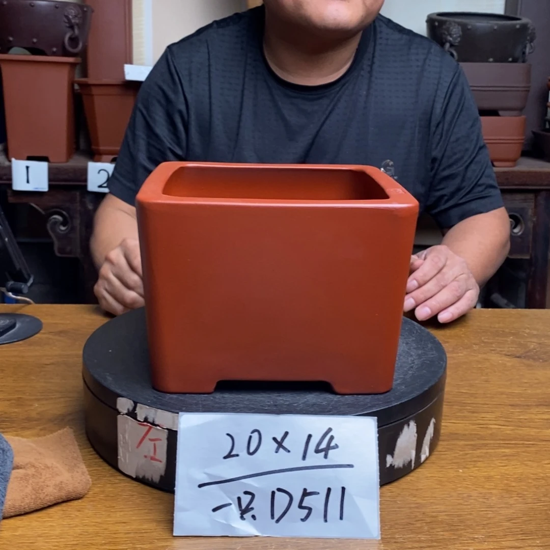 紫砂货号一只D511