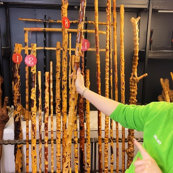 菩*好好好好好好好