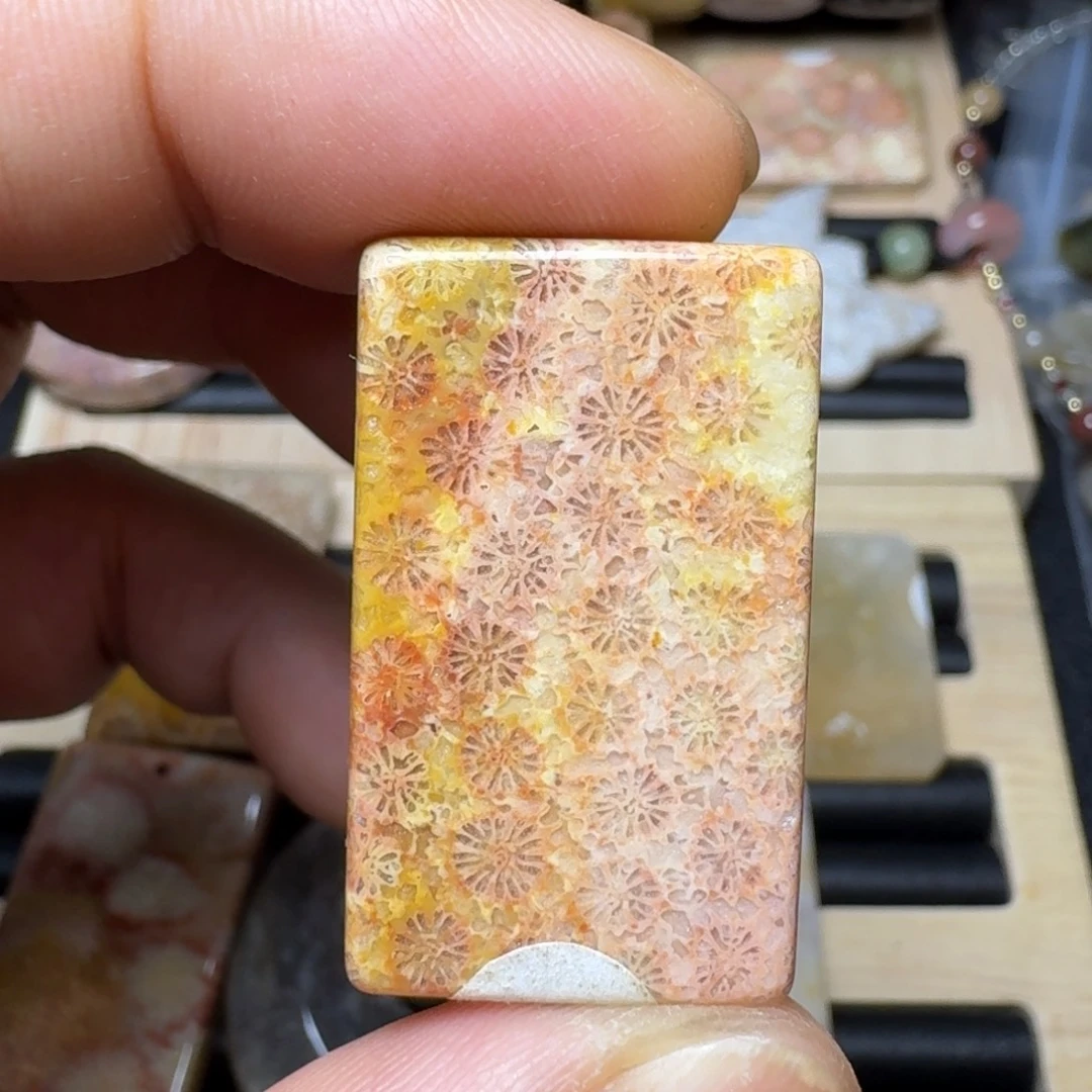 未镶嵌纯天然色有机玉石保真色硅化玉