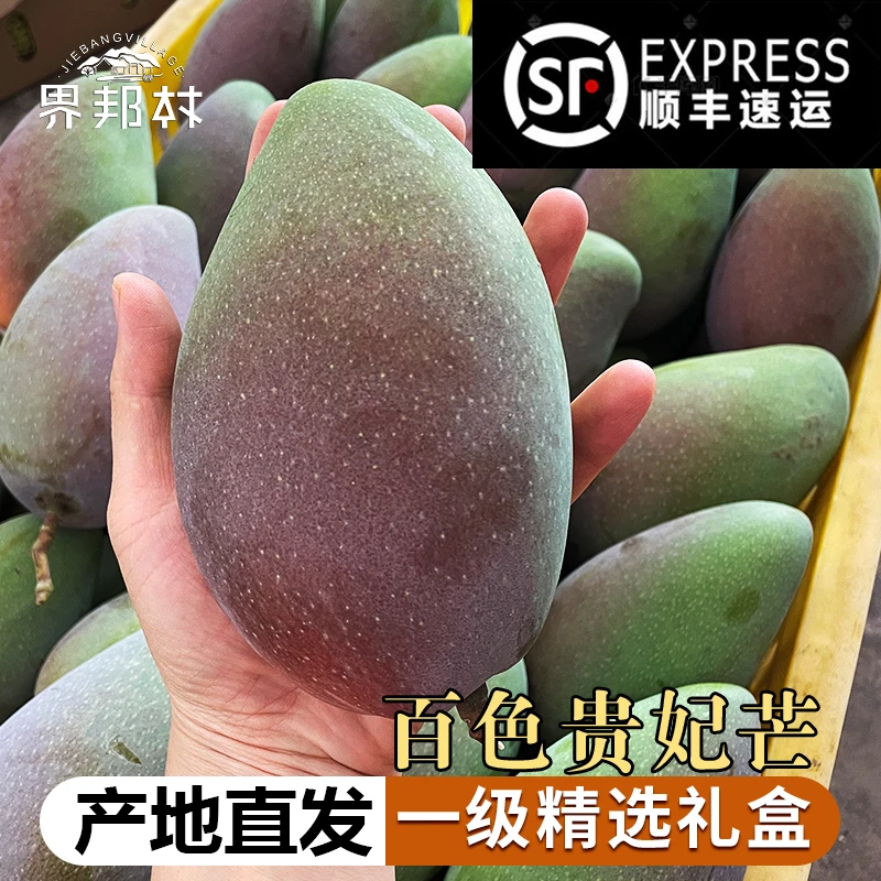 【清甜多汁不上火】广西百色一级贵妃芒果七彩芒大果5/8.5斤礼盒