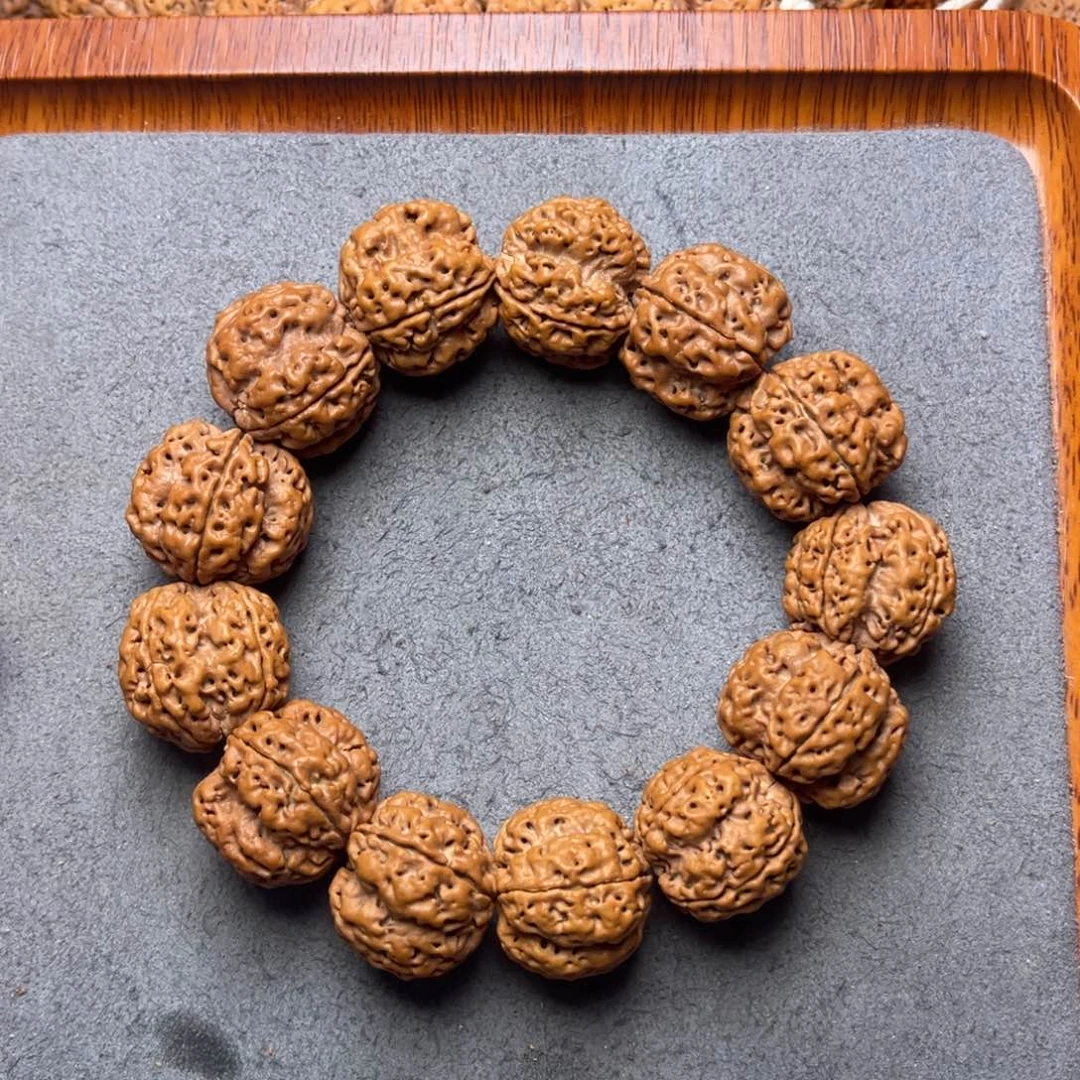 菩提31号金刚菩提四瓣22