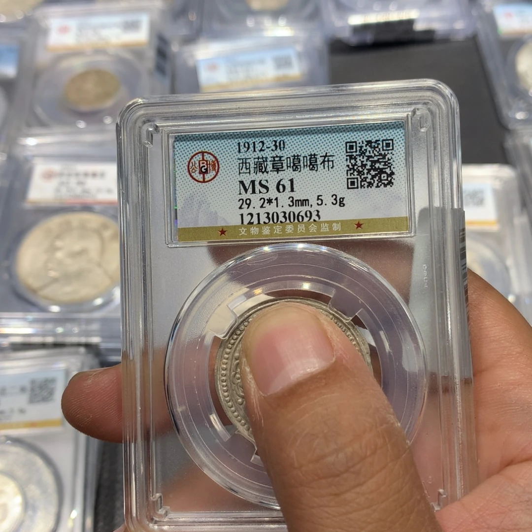 大***虫银聚轩阁 嘎嘎布0693