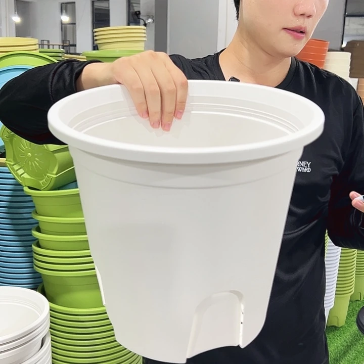 正品圆控口30高28白色4只无托