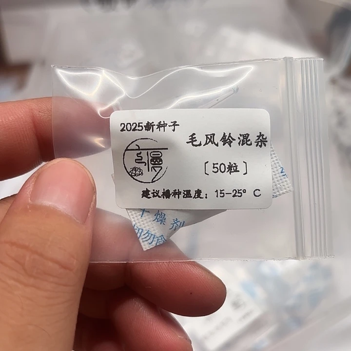 如图2025新种子毛风灵混50粒