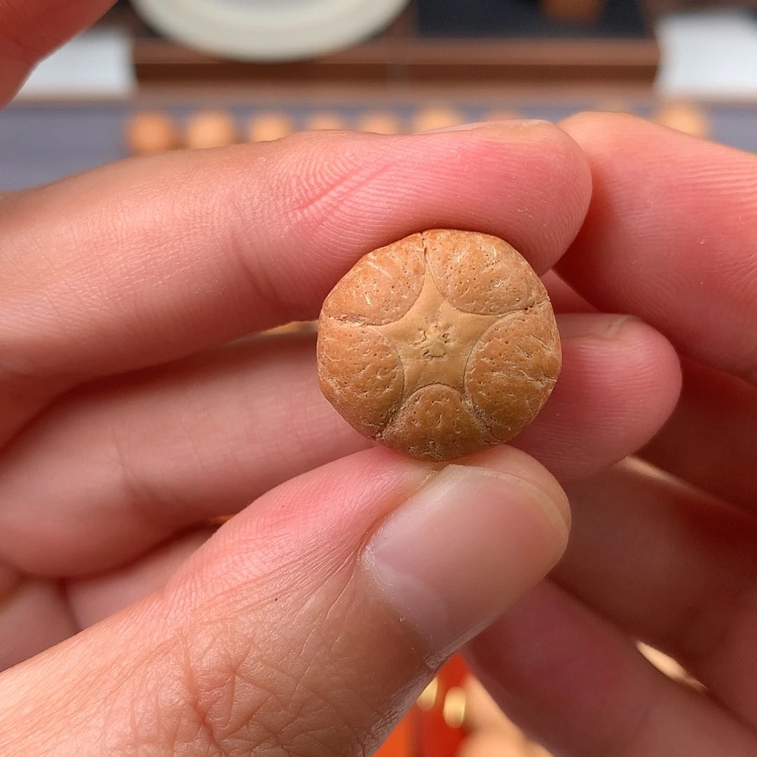 手串凤眼菩提18+五星，非质量问题开孔不退