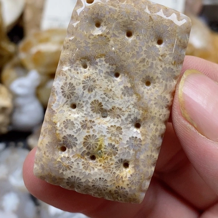 颈饰未镶嵌硅化珊瑚（珊瑚玉）