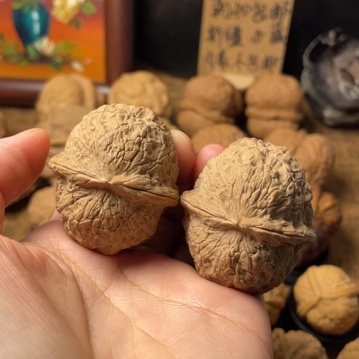 豆***精云南野生铁核桃编号106