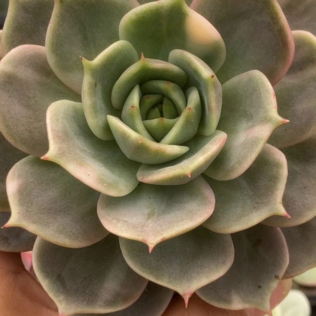 230贝加尔湖锦锦锦锦锦锦锦锦