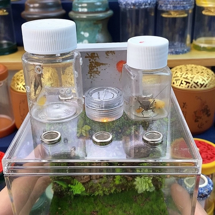 正方生态箱一套啊啊