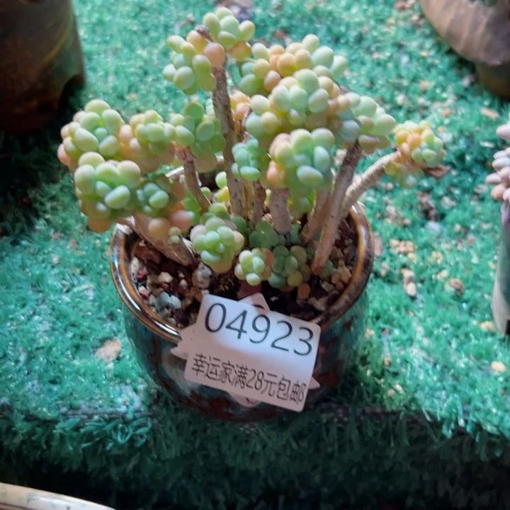 幸运的是我还没遇到过