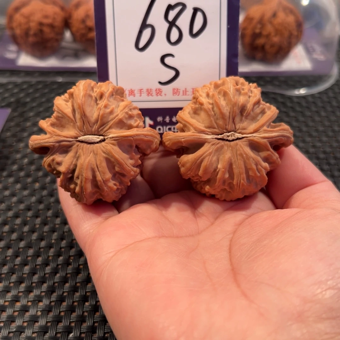 文玩核桃把件680号白狮子尺寸46全品