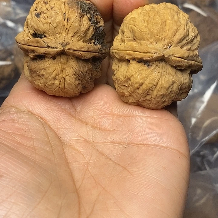 把件文玩核桃云南铁核桃24