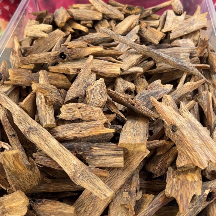 摆件沉香乌身一代苗30克多样性发1条