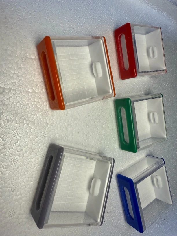 新款金钟霍氏竹蛉盒（下单即送价格17元的鸣虫饮水器套装）