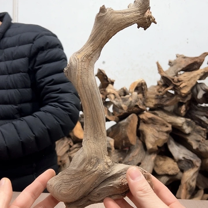 柏木丹*我们的生活是以自己为