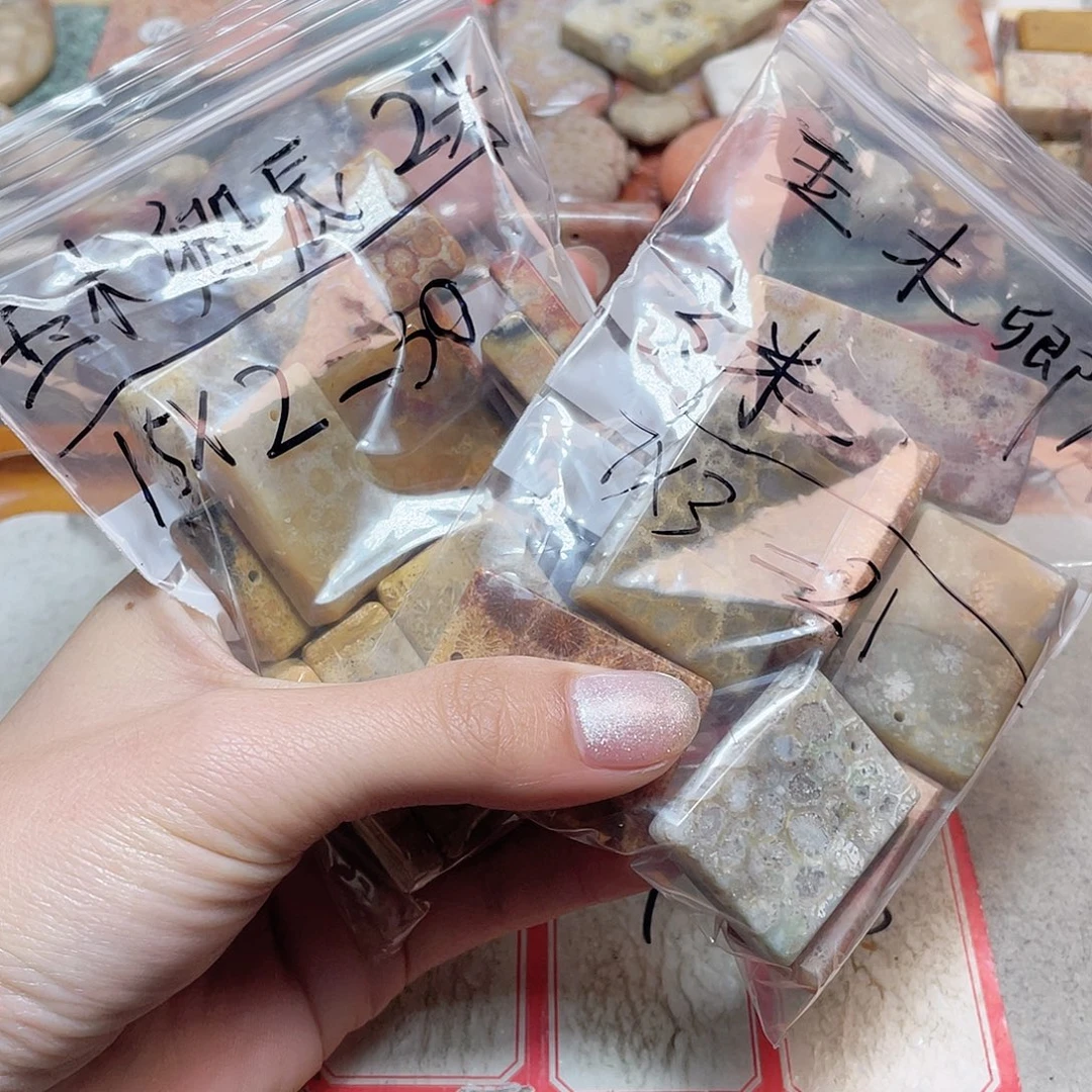 玉***辰硅化珊瑚（珊瑚玉）合金颈饰