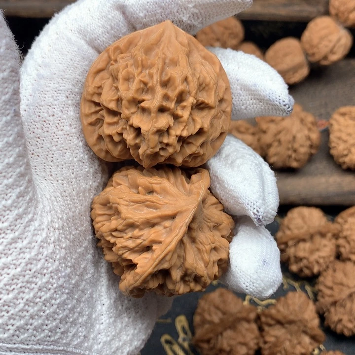 八****o43尺秦岭野生帝王