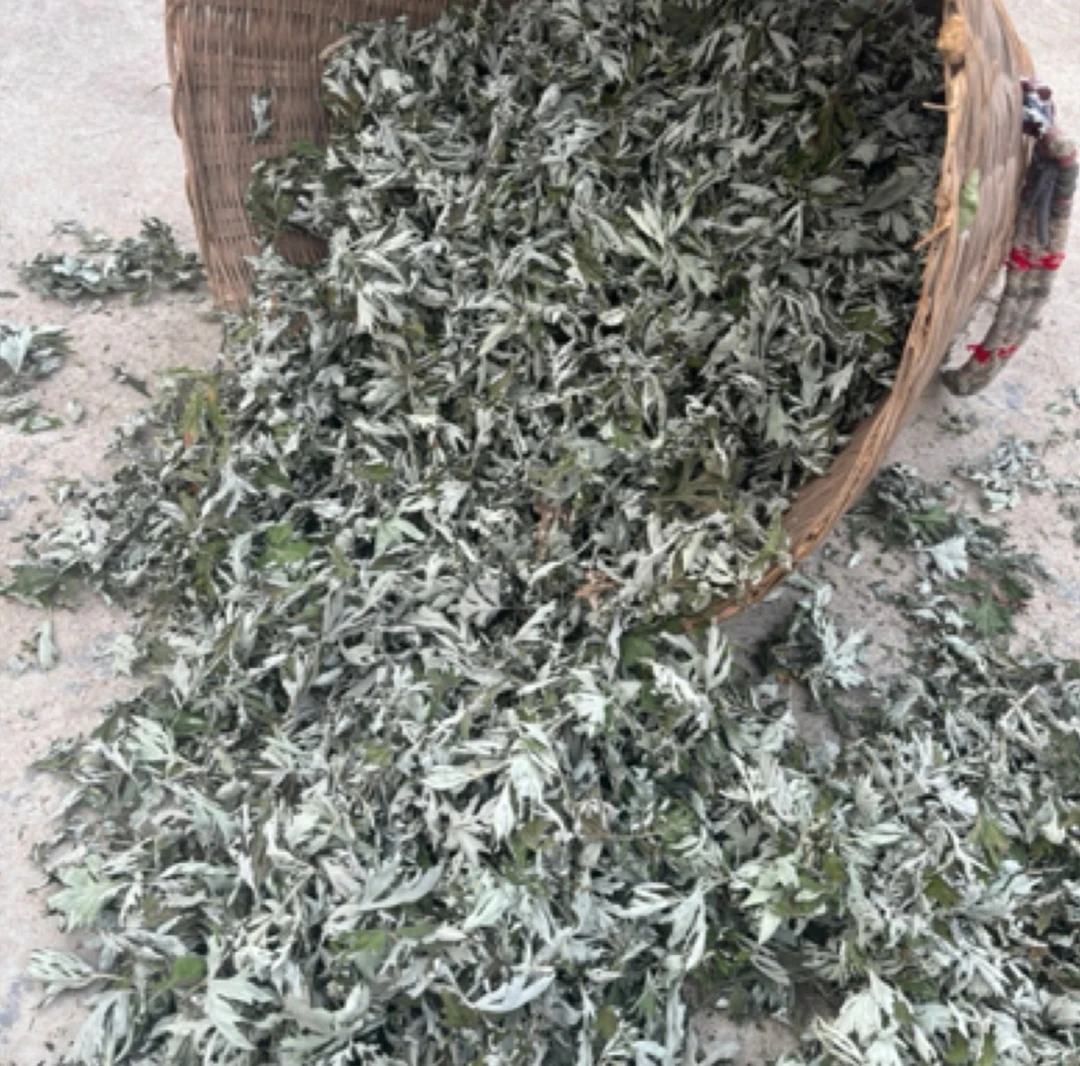 艾叶草干艾草叶坐月子产后产妇宝宝儿童非去湿气陈泡澡泡脚药包