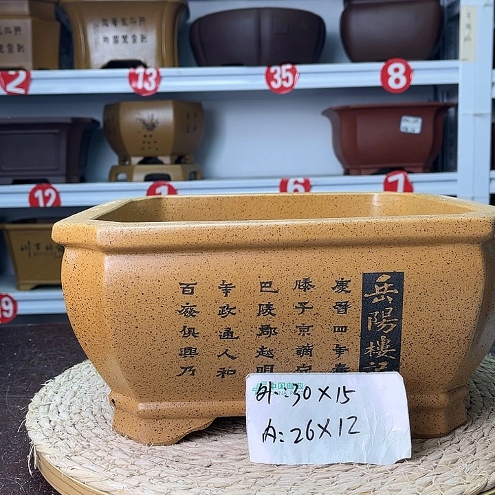 花盆紫砂你在一起