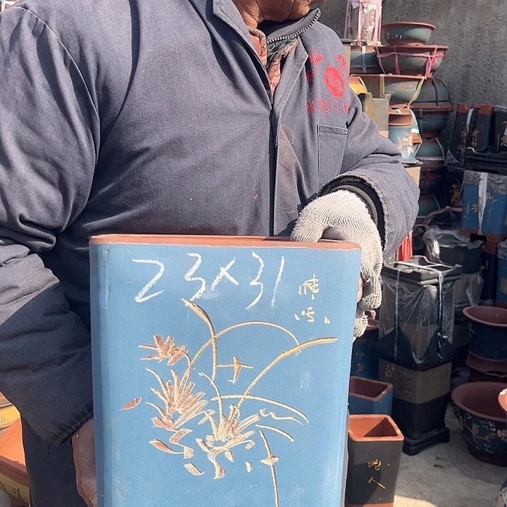 紫砂紫砂花盆盆栽