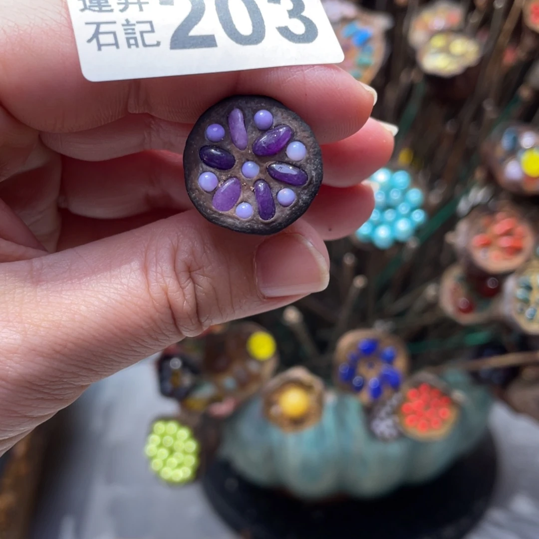 核桃木/黑胡桃（胡桃木）羽*?203