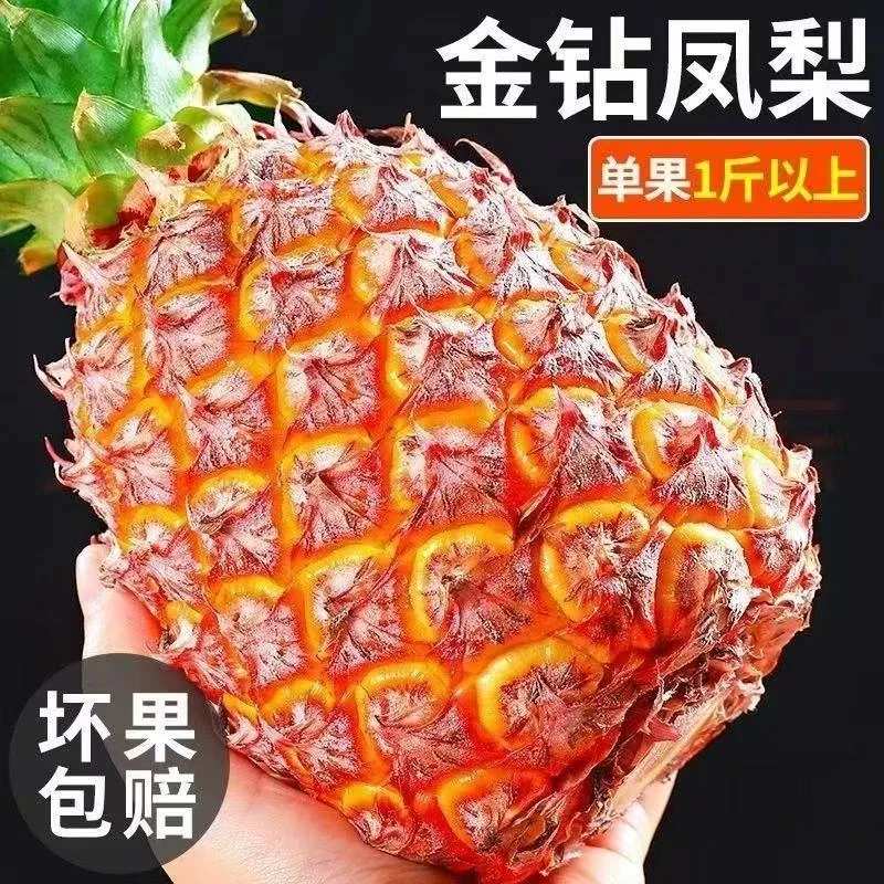 正宗金钻凤梨自然成熟应季水果新鲜采摘香甜多汁