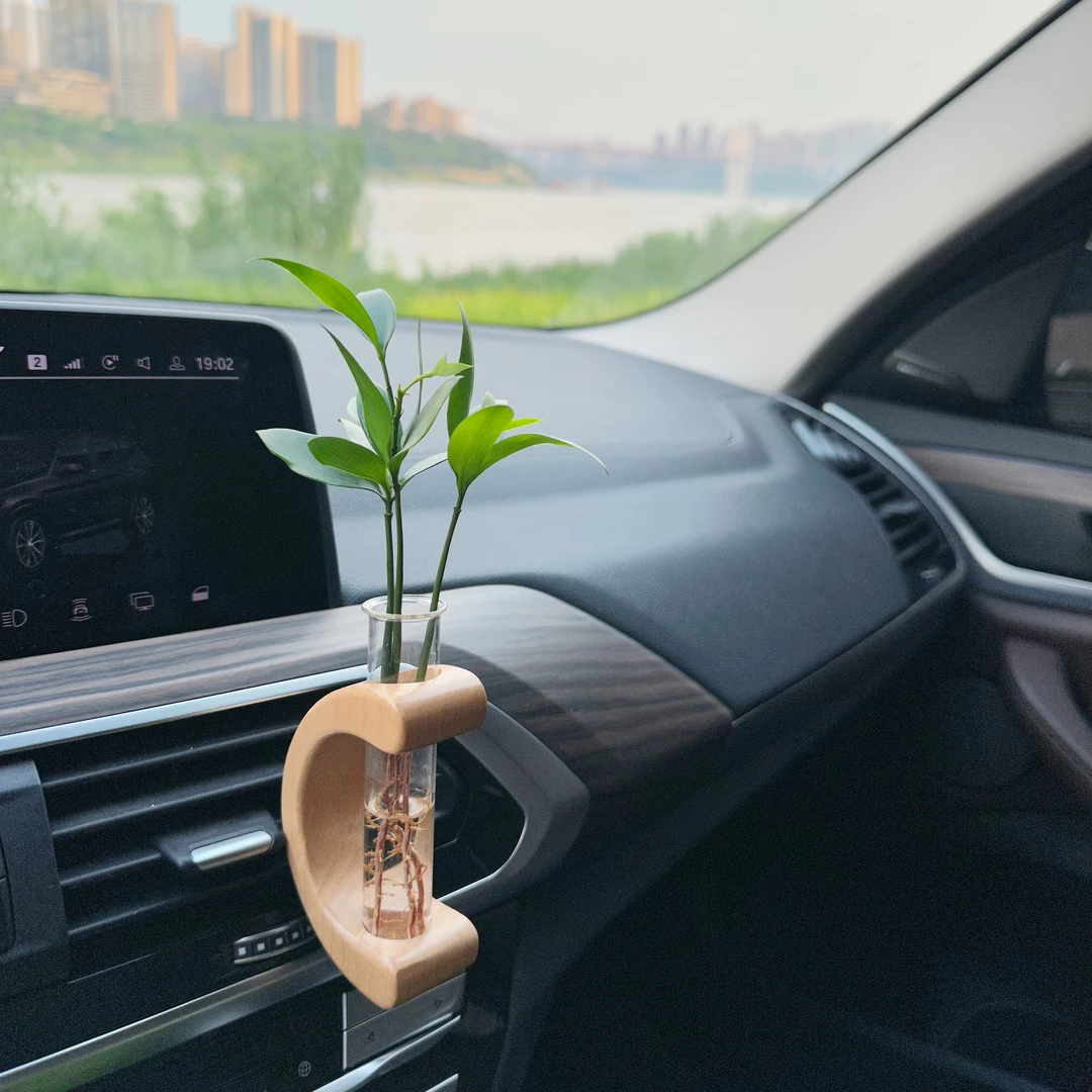 【零下不推荐】C型汽车出风口车载真绿植水培创意装饰时尚车内摆件