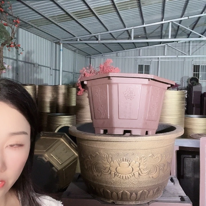 补差价11米换八角60花盆2个