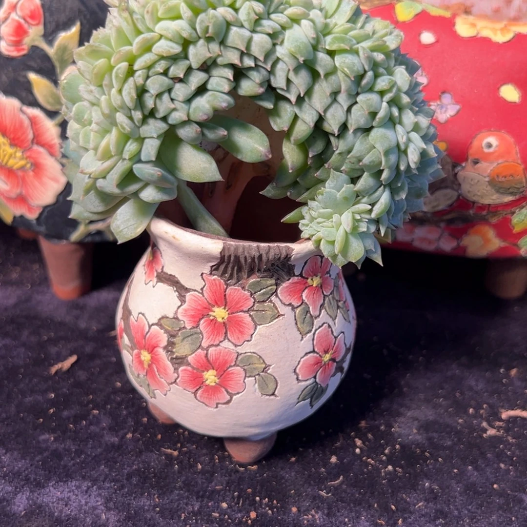 新年快乐 新年快乐 新年快乐