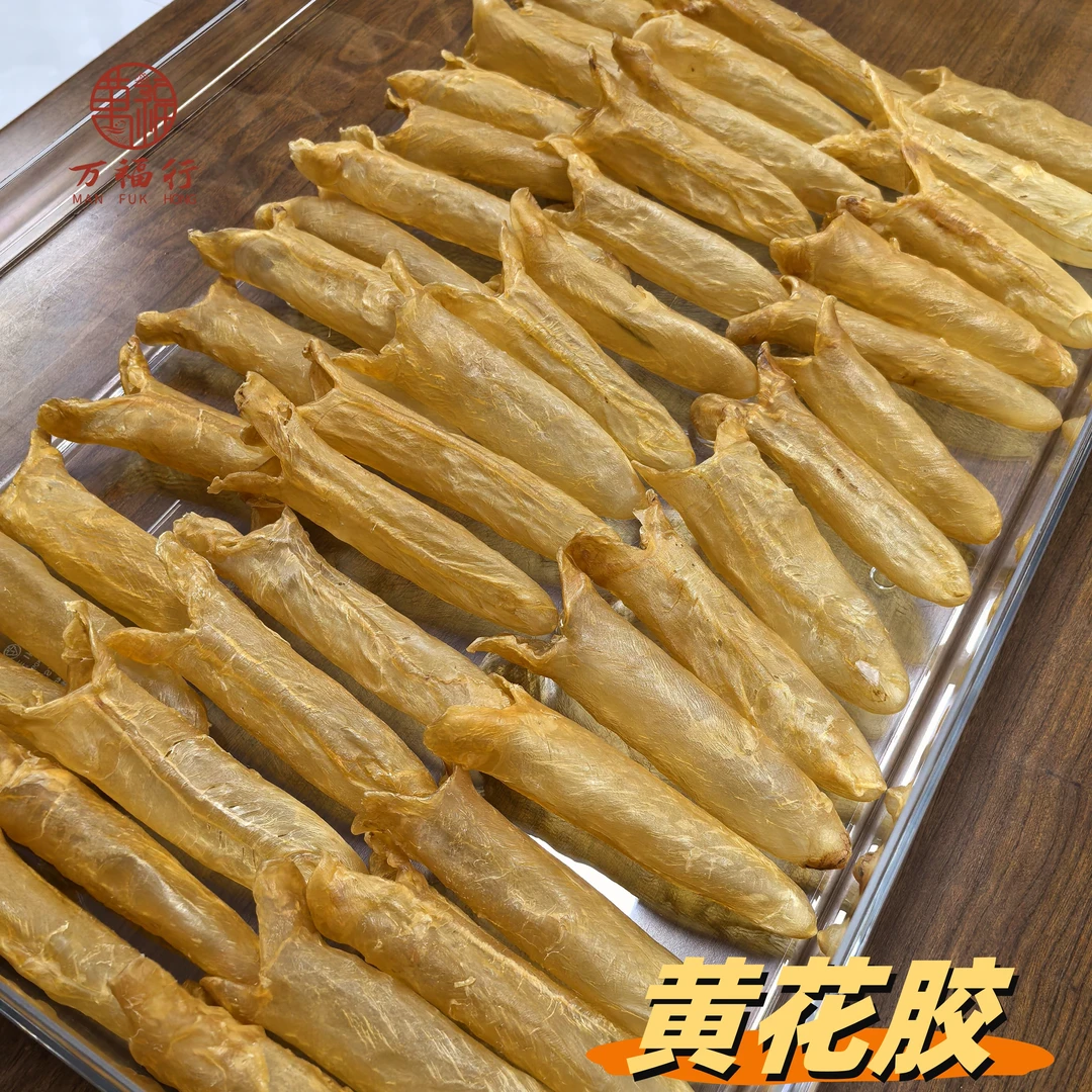 Q【莹莹精选】45-46头黄花胶 营养滋补 胶质丰富