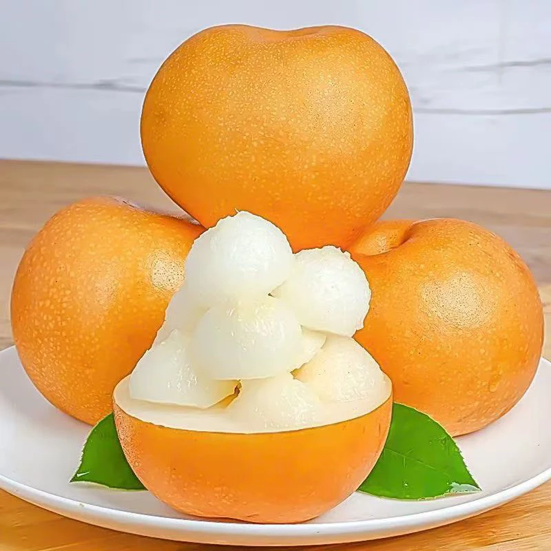 山东秋月梨新鲜当季水果皮薄肉厚多汁美味
