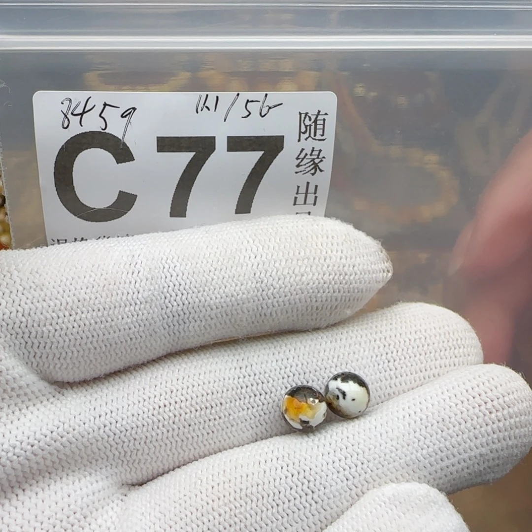 琥珀未镶嵌裸石7尺寸奥利奥