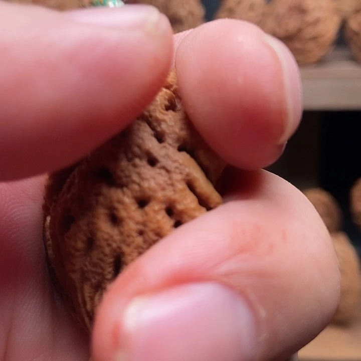 西****纯手工处理一个单颗